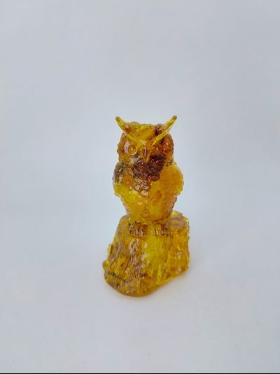 Сова на бревне