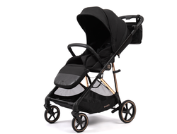 Коляска прогулочная и автокресло Peppy Amici (Black) рама Gold