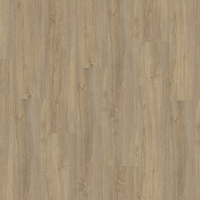 Виниловый пол Wineo 400 Wood Paradise Oak Essential DB00112 клеевой