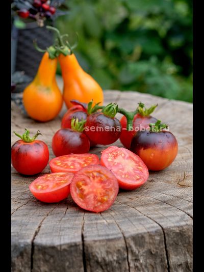 Томат Гондвана Тени, 10 шт