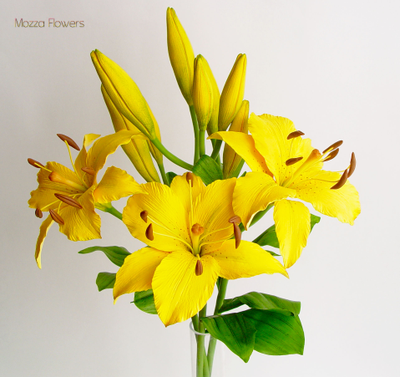 Желтые лилии из полимерной глины.