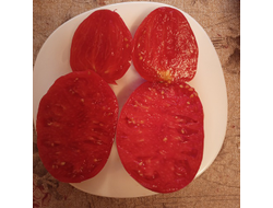 Томат Тайные сокровища вечности (Hidden Treasures of A Timeless)