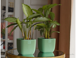 Горшки для комнатных цветов пластик