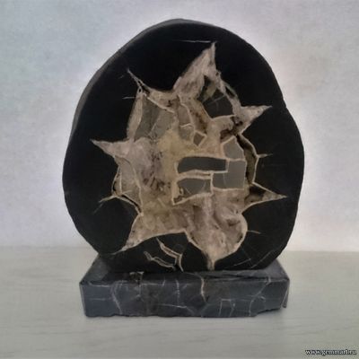 Септария - полированный спил. Россия. 242*210*130мм