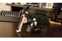 cl6h4jgqin4ggsoog0gcookk080ks0.png