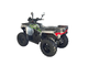 Квадроцикл Avantis ATV 300 Basic