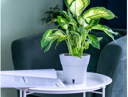 ГОРШОК "ДАЛИ СОФТ" 1,2 л, цвет Серый