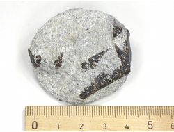 Ставролит, сросток кристаллов на сланце, Россия, Кольский п-ов (45*41*19 мм, 41 г) №26077