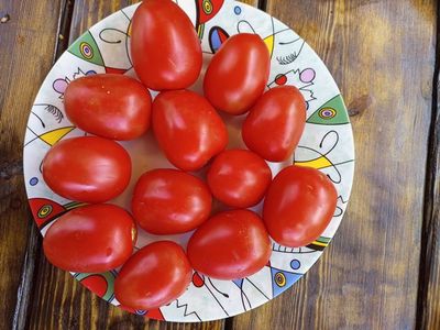 Томат Аргентинская сливка