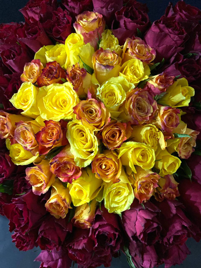 Роза Кения 101 шт