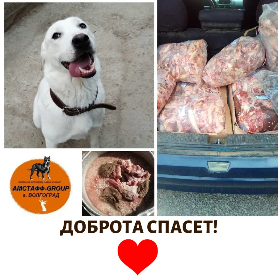 03.08 мы передали наши с вами подарки четвероногим жителям приюта АМСТАФФ-GROUP. За период с 26.06 по 03.08 сумма по благотворительным купонам составила 3511 руб. Всем, кто принимает участие в акции, от сободеток большое спасибо!