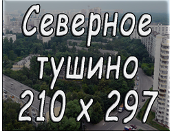 210х297