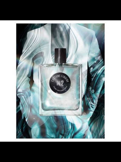 14.2 COSTUME LIQUIDE PIERRE GUILLAUME