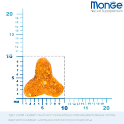 Monge Cat Senior (Монж) для пожилых кошек старше 7 лет, из курицы 1,5 кг