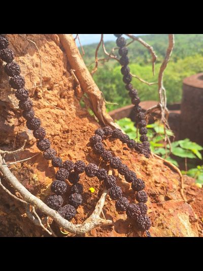 Четки из натуральной крупной Рудракши 108 бусин черные