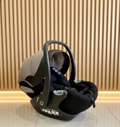 Детская коляска 3 в 1 Luxmom 888X Коричневый