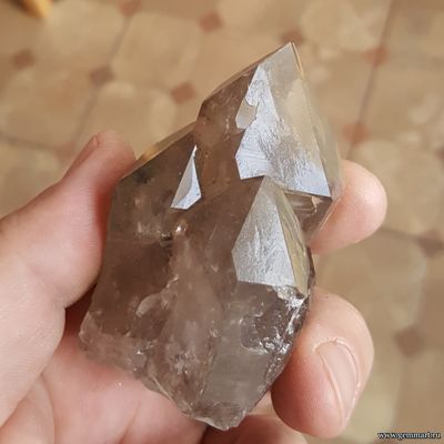 Кристалл сфена (титанита)  на хлорит-серицитовом сланце на друзе дымчатого кварца (раухтопаза) 74*55*42мм