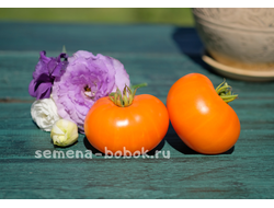 Томат Персик и Крем (Peaches and Cream), 10 шт