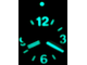 Часы наручные ВОСТОК Амфибия 96K760 GMT