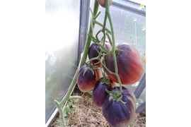 Сержант Пеппер бронзовый