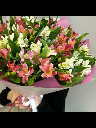 Букет из 25 альстромерий (цвет на выбор)