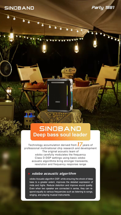 Караоке система с двумя микрофонами Sinoband Party 1981 300W