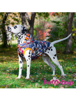 КУРТКА ТИГР СИНЯЯ