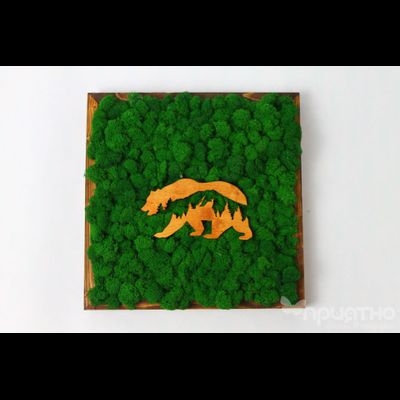 ЖИВАЯ ЭКО-КАРТИНА 1028