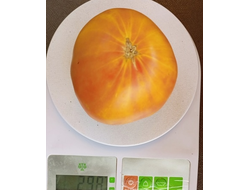 Томат Желтый полосатый Кармеллы (Carmella’s Yellow Stripes)