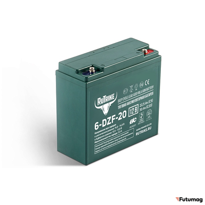 Тяговый аккумулятор RuTrike 6-DZF-20 (12V20A/H C2)