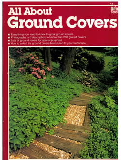 All About Ground Covers