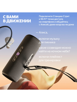 Яндекс Станция Стрит (Черная)