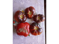 Томат Оранжево-красный Блюз (Orange red Blues)