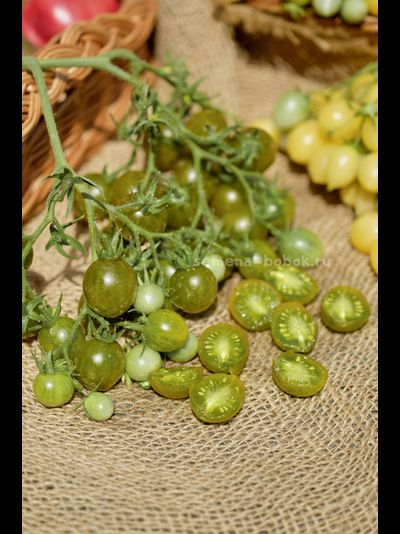 Томат Sister keyes (Систер Киз), 10 шт