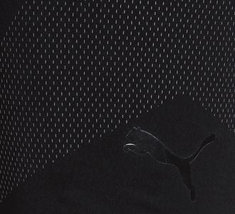 Тайтсы PUMA FOOTBALL