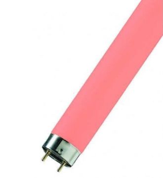 Цветная люминесцентная лампа Narva FluoreScent Lamp LT36w/014 Pink G13