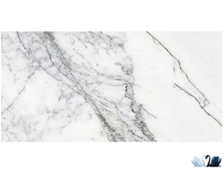 Керамогранит Maimoon Spider White glossy 60х120 см под мрамор купить в магазине Marysя Краснодар
