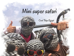 MINI SUPER SAFARI PROGRAM