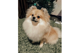 Василенко И О "Я подарок"