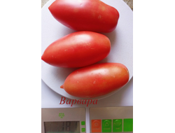 Томат Варвара