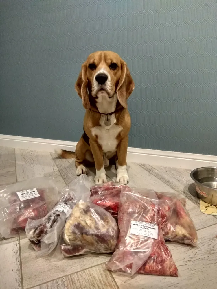 Хозяйка Анна: "Биглюша Томми передает огромную благодарность за вкусную еду. Продукция всегда свежая, очень удобная фасовка, хороший ассортимент. Очень приятный сервис, всегда проконсультируют и посоветуют, что лучше взять."