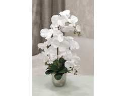 Композиция орхидея белая кашпо малое серебро № ОР027
