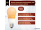 Philips Terracotta A65 12w 827 E27