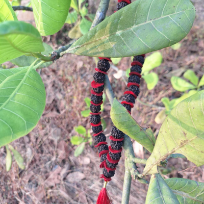 Четки Premium quality из натуральной крупной Рудракши 108 бусин черные