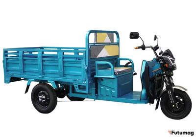 Грузовой электротрицикл Cargo PRO 1500