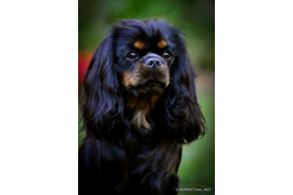 Русский Джекпот Ванесса Сани Фловер