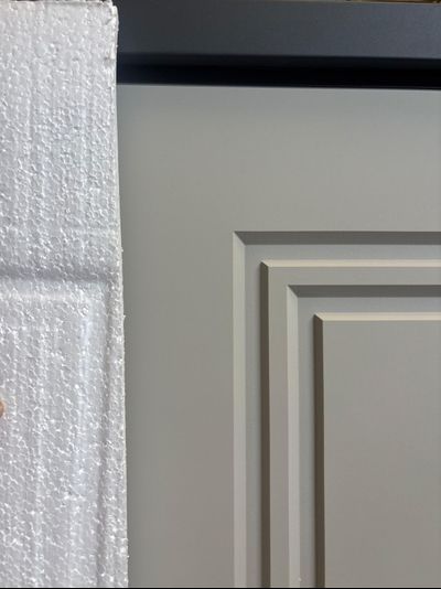 Входная Дверь Трамп Штамп 4.1