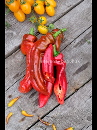 Перец сладкий Палермо Красный, 10 шт