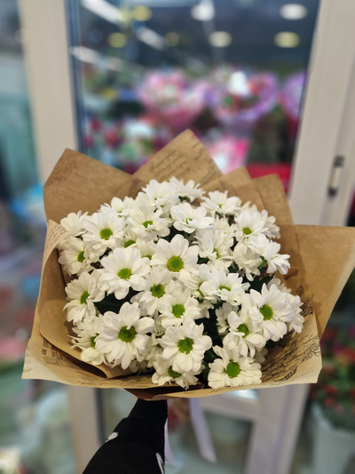 Классический букет из 5 белых кустовых хризантем Баккарди