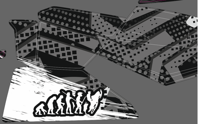 Наклейки на снегоход Tundra - 2010 2011 2012 2013  №978